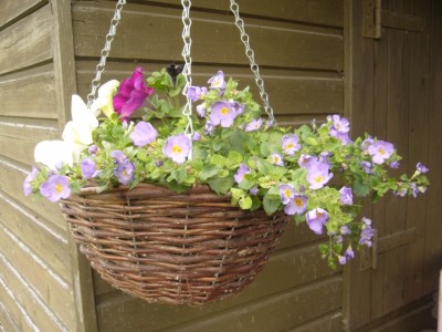 ���� �������.���������� ��������� �������,������. �����,�������� �����, ������ � ������ ������!!!!