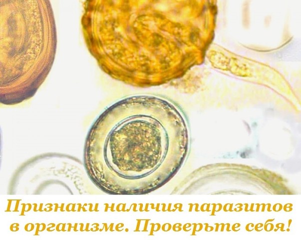 �������� ������� ��������� � ���������. ��������� ���� � ����� �������