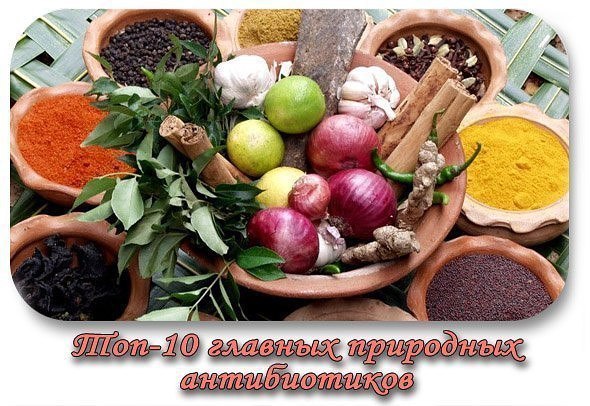 ��������� �����������