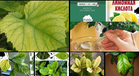 ������ ��������: ��� ������� ������ � ����������� ������