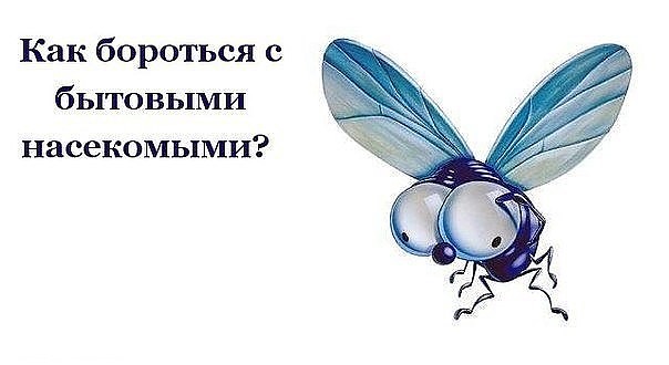 ��� �������� � �������� ����������