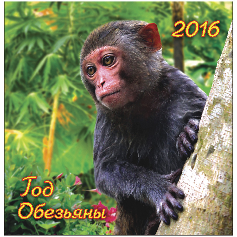 ���� �������. ��������� ���������, ����������, ���������, � ��� �� �����������, �������� �� 2016 ���