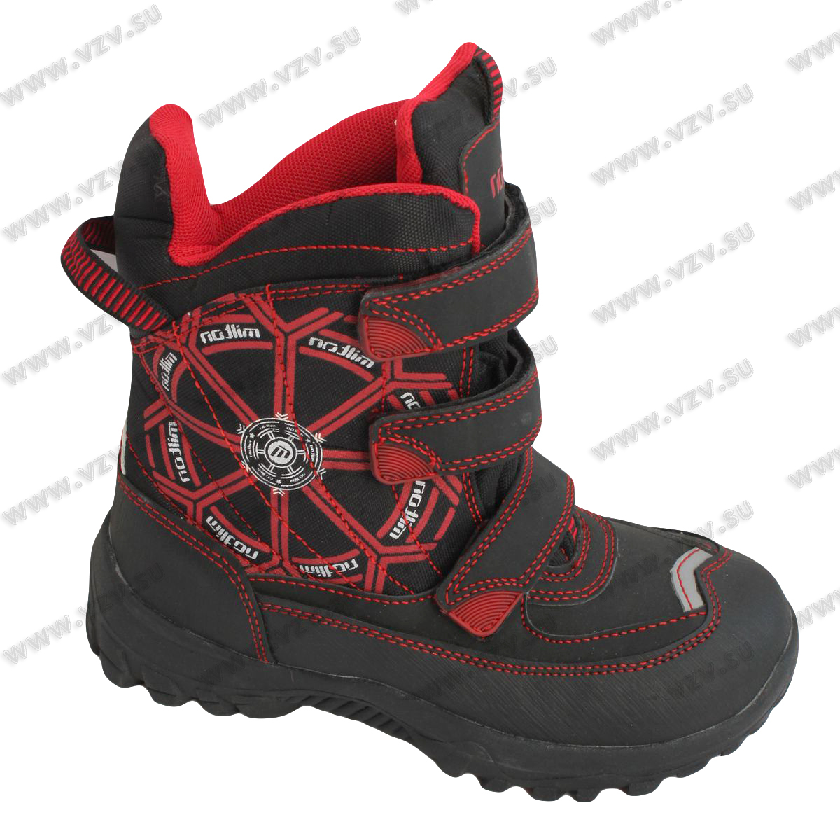 ���� �������. ������������ ����� �� ����������.