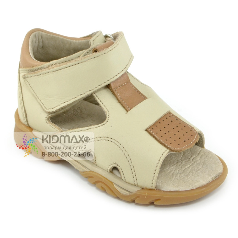 ���� �������. ������� ����� ��������� �������: ������� ����0�, ������� �����0�, ��������� G&G, ������� Aves. �������