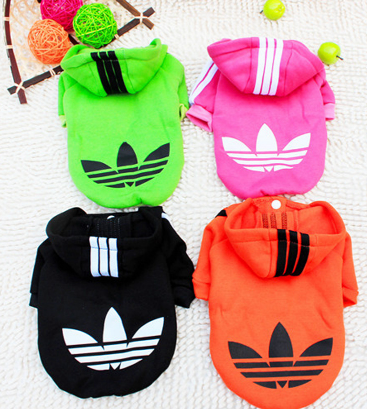 ���� ������ � ����� ��� �����