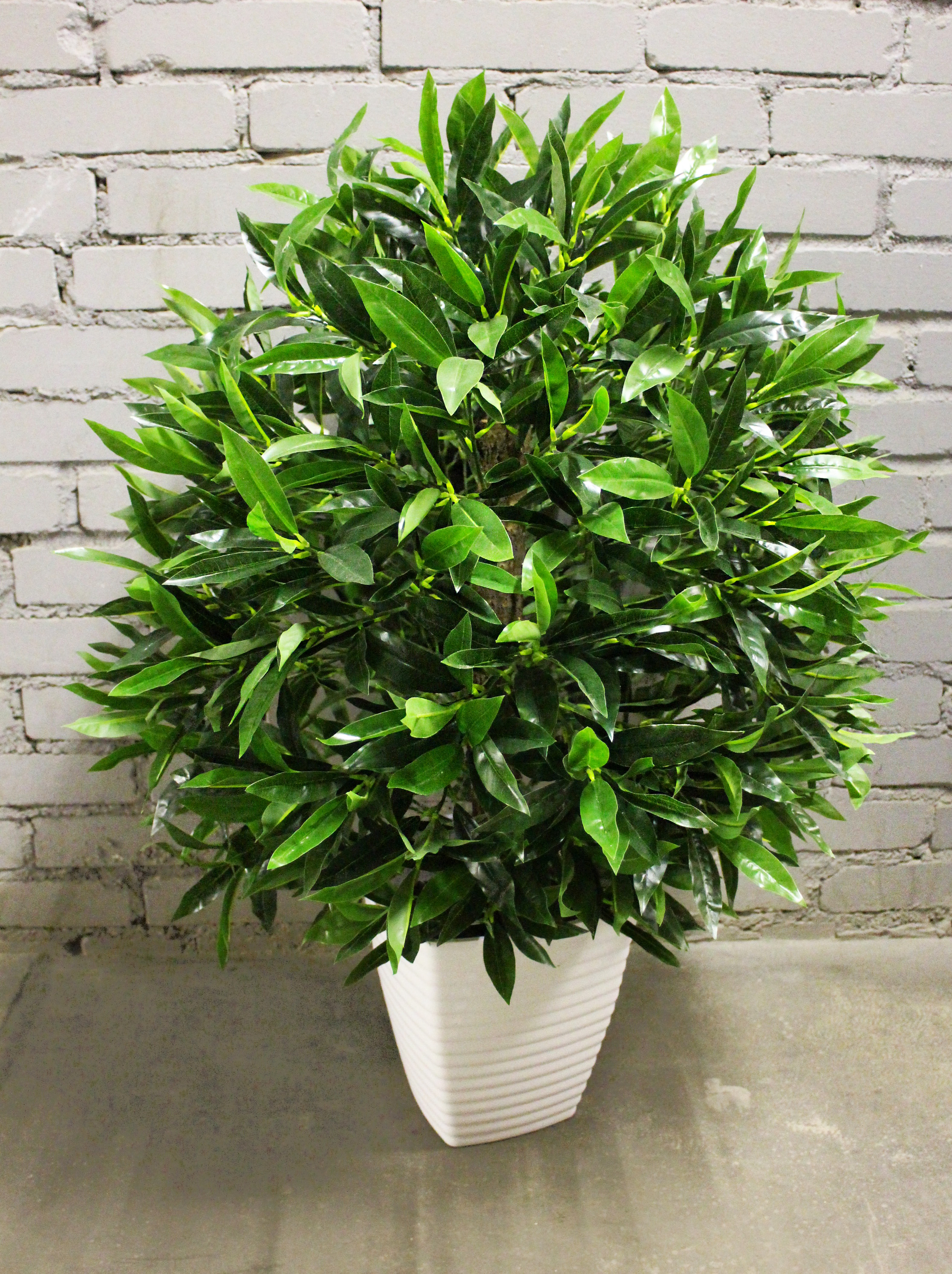 ���� �������. ���������� ��������� ����������� � ��������� ����������! ����� �� ������� ������������� �������, ����� � �������, ����������, ��������� �����, ������, ����������� �������, ������������� �����, ���������, ��������� ����� � ������. ����� 5.