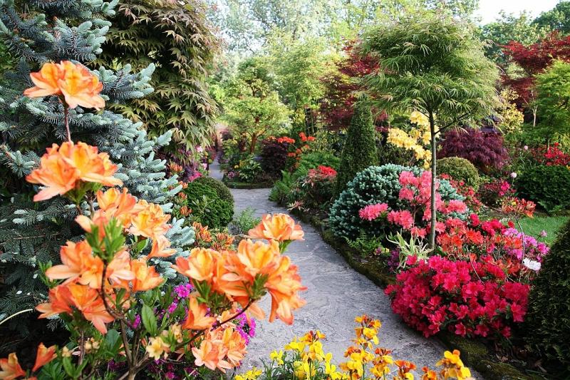 ������������� ��������,������������� ������������, ��������. ��������� �� ����� 2016�.