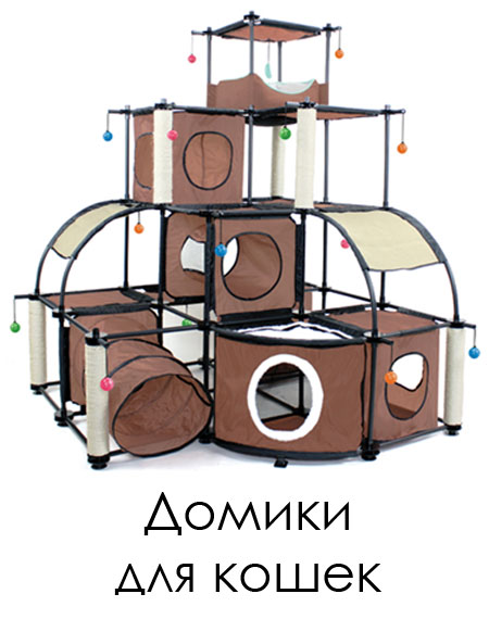 ���� �������. ����������������! ������ ������������ ������ �� ��������� �����. ��� ��. ���� 18.