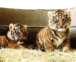 �� ����� ������ ������� � �������, ����� ����� �� ����...