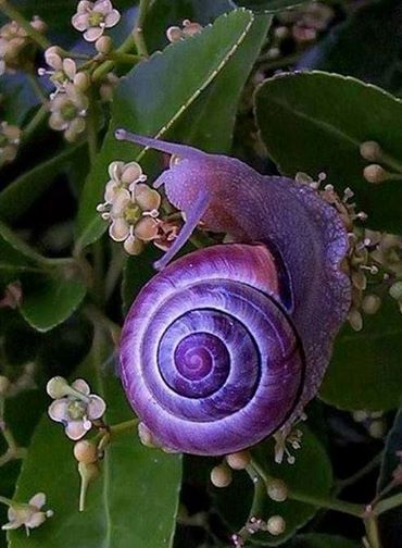 ����� �������� ������