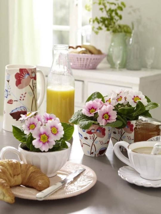 ������� ���� � ������� � � ���������...