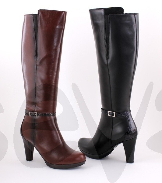 ���� �������. ������������ ����� �� ������ �������. �����, ���������, ������, ��� �����.