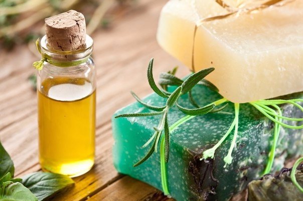 ������������ �����: ����������� ���������