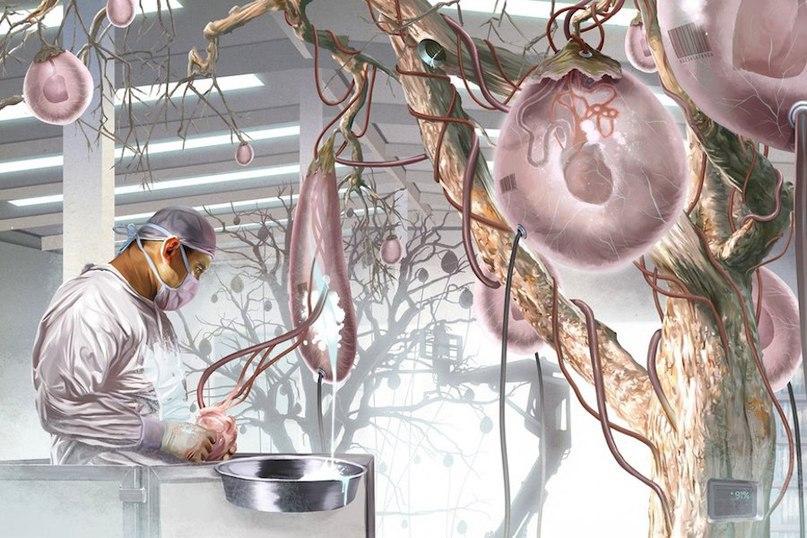 ���������� � ��������