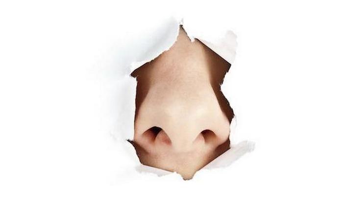 11 �������, � ������� ���� ����� ����� ������