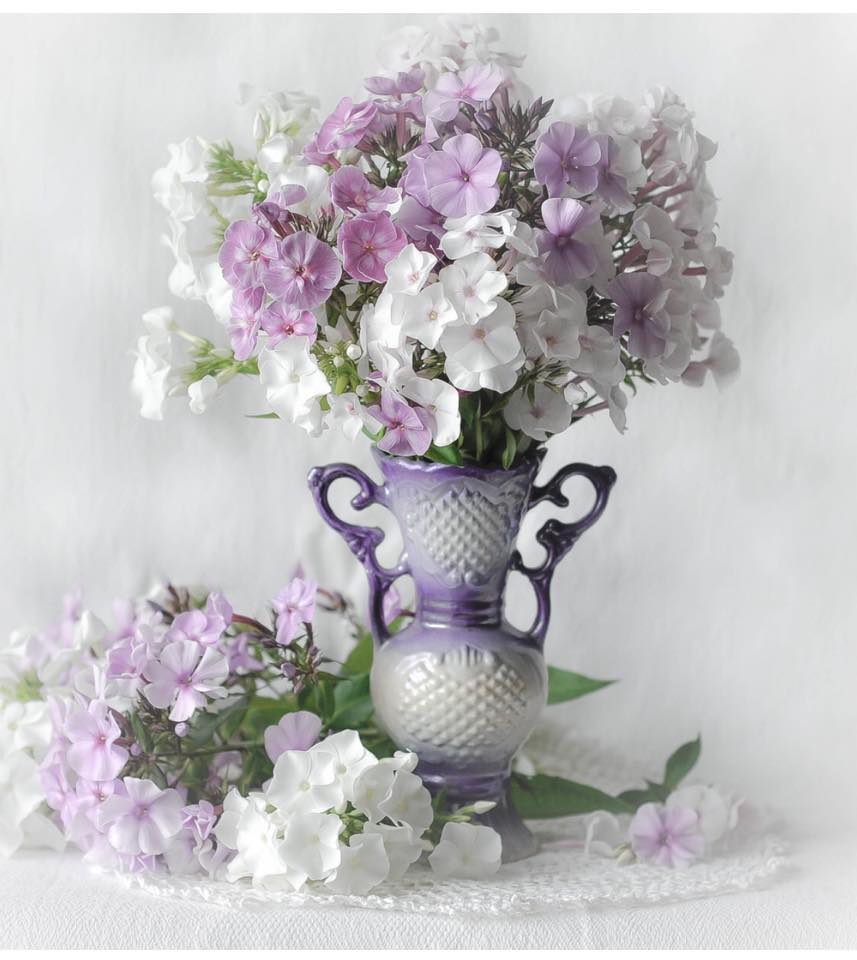 ��������� ����, ���� �����������, ��������� ����, ���������� ���� - ��� ������� �����...