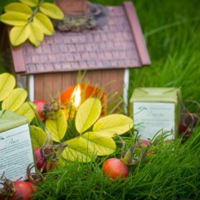 ����������� ��������� 1 ��� ��������� � ���������.���� ������ ������, �������, �����, �����-6/14 + ����������