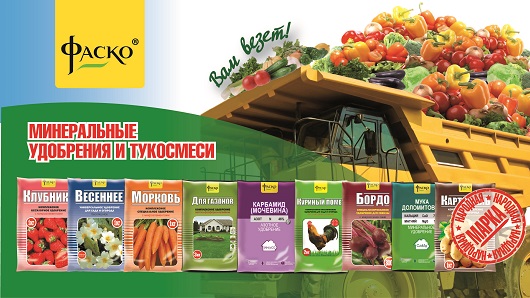 ��������� ������� �������! ��������� � ������ ������ ��� �������� - 28!