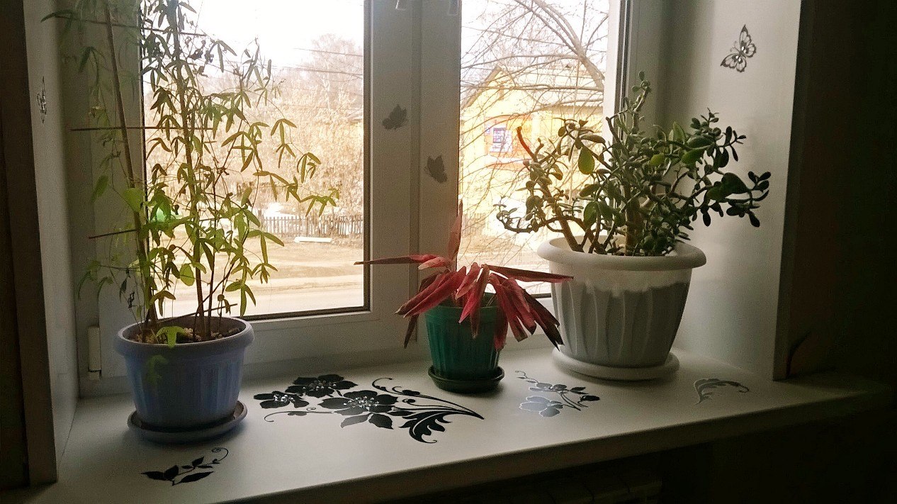 ��������! �������! �� ������ ���������� ������� � ���������.-2