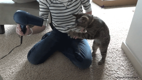 ������� ������� � ������ - �������� ������� ����