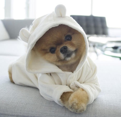 ��� � ������ �� ��������...