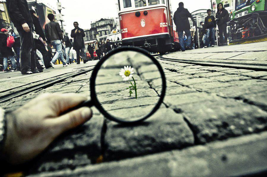 ������������� ����� ������ ������. ������������ ��� ������ �������...