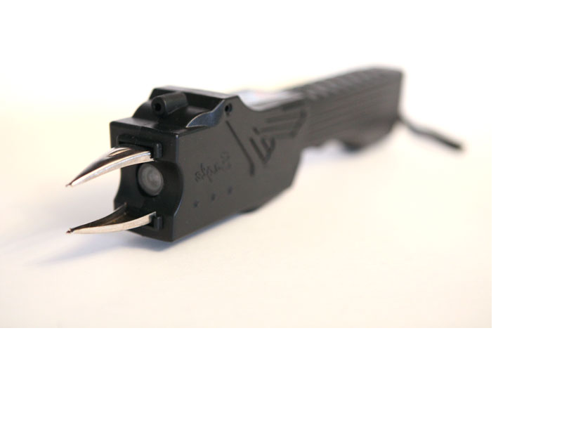  ���� �������. ������ ����. �������������, �������������� ������������ �����. ������ ������, ������-��������.