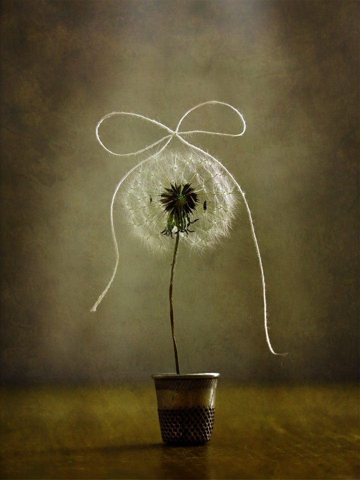 �. ��������. ����������� - �������� �����...