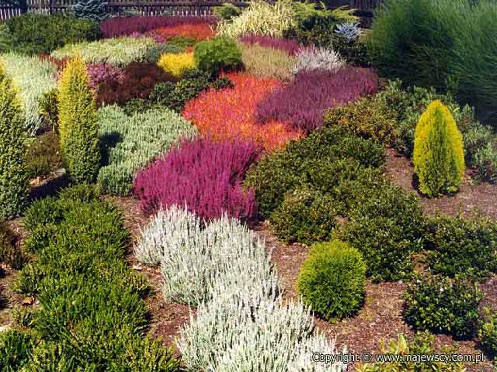 �������, �������� � ������ ������� �� ��������� ��������� Hachmann �� ����� �����-2016