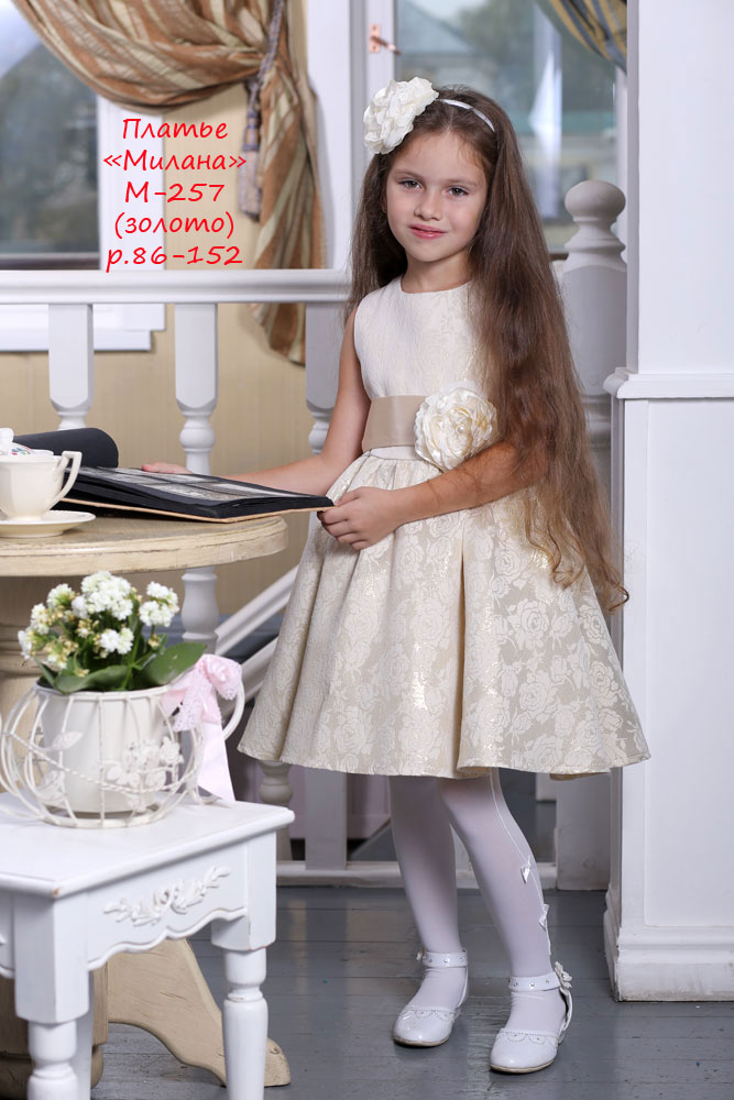 ���� �������. ��������, ���������������, ��������, �����, ��������, ������������ ������ ������ ������ �� ������