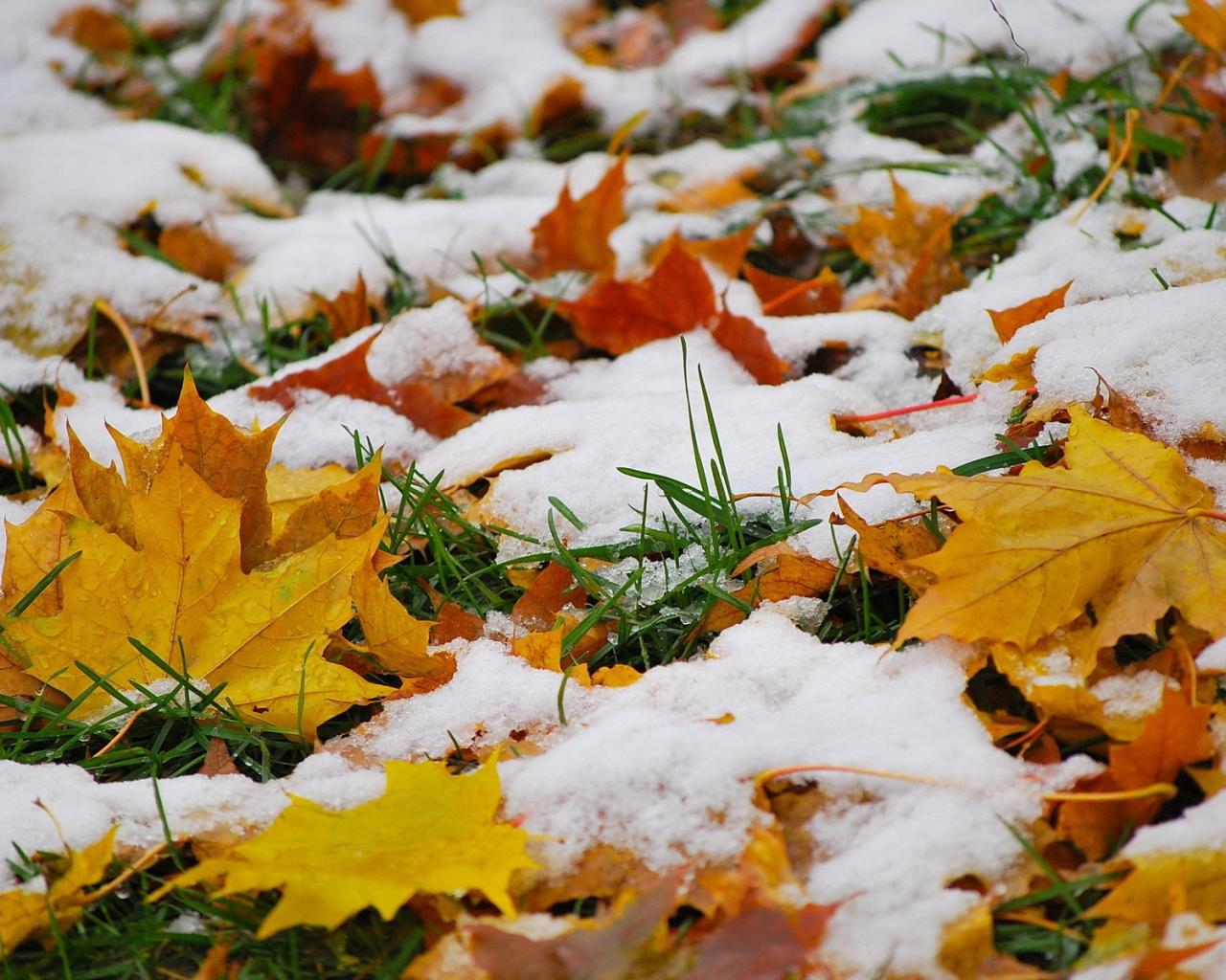 ��������� ����� � ������ ���� ���� � ���...