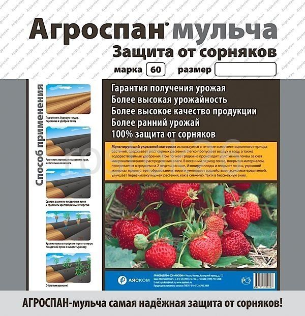 ��������� ������� �������! ��������� � ������ ������ ��� �������� - 28!