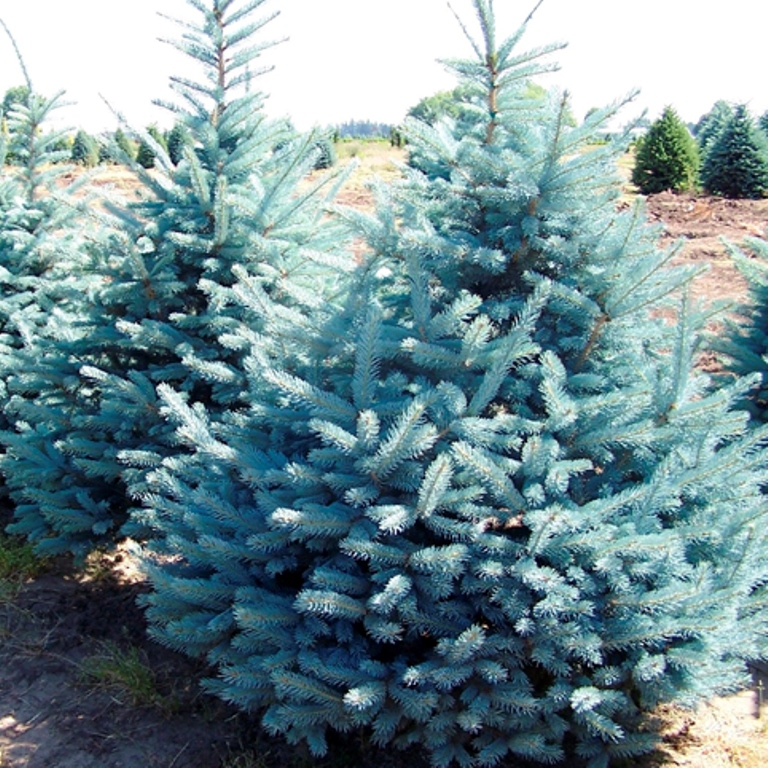 ������� �������,���������� �� ��������� ��������� ���� �� ����� �����-2016