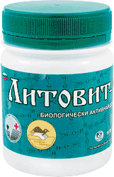 ����: ���� �������. ������ ��� ����� 33. �������� ���������! ���������� ������� ��t����! �����t ��� ����, ���������, ���������� ����� � �����������! ����������,10%!