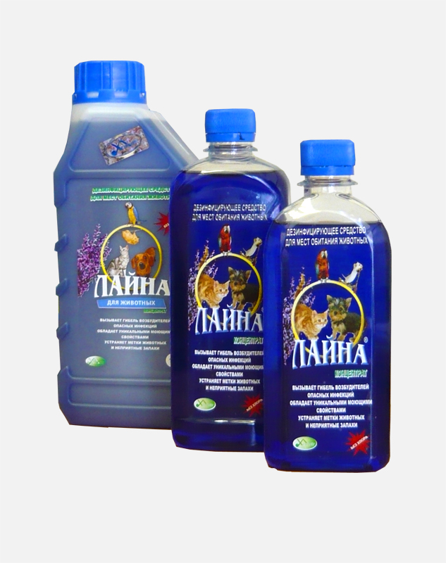 ���� �������.�/�/�/�/� - ���� ���������, ������, �������!�/�/�/�/� ��� �������� ���������� ������������ � ������ ��������� ������ � ��� ����!���� 9