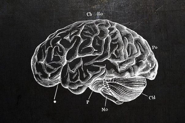 ��� ������� ������ ��� ����������� �������� �� �����