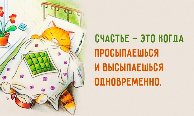 15 ������� ��� �������� ���