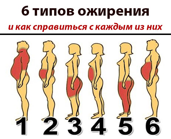 6 ����� ��������