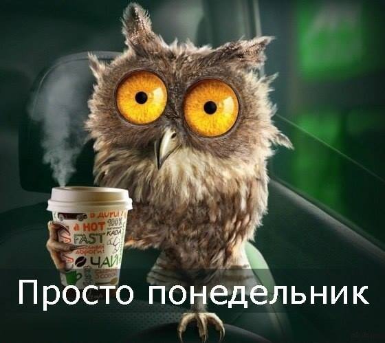 ������ ����������� �������� �ӣ � ������ ����������, ������, � �� ������ ��������