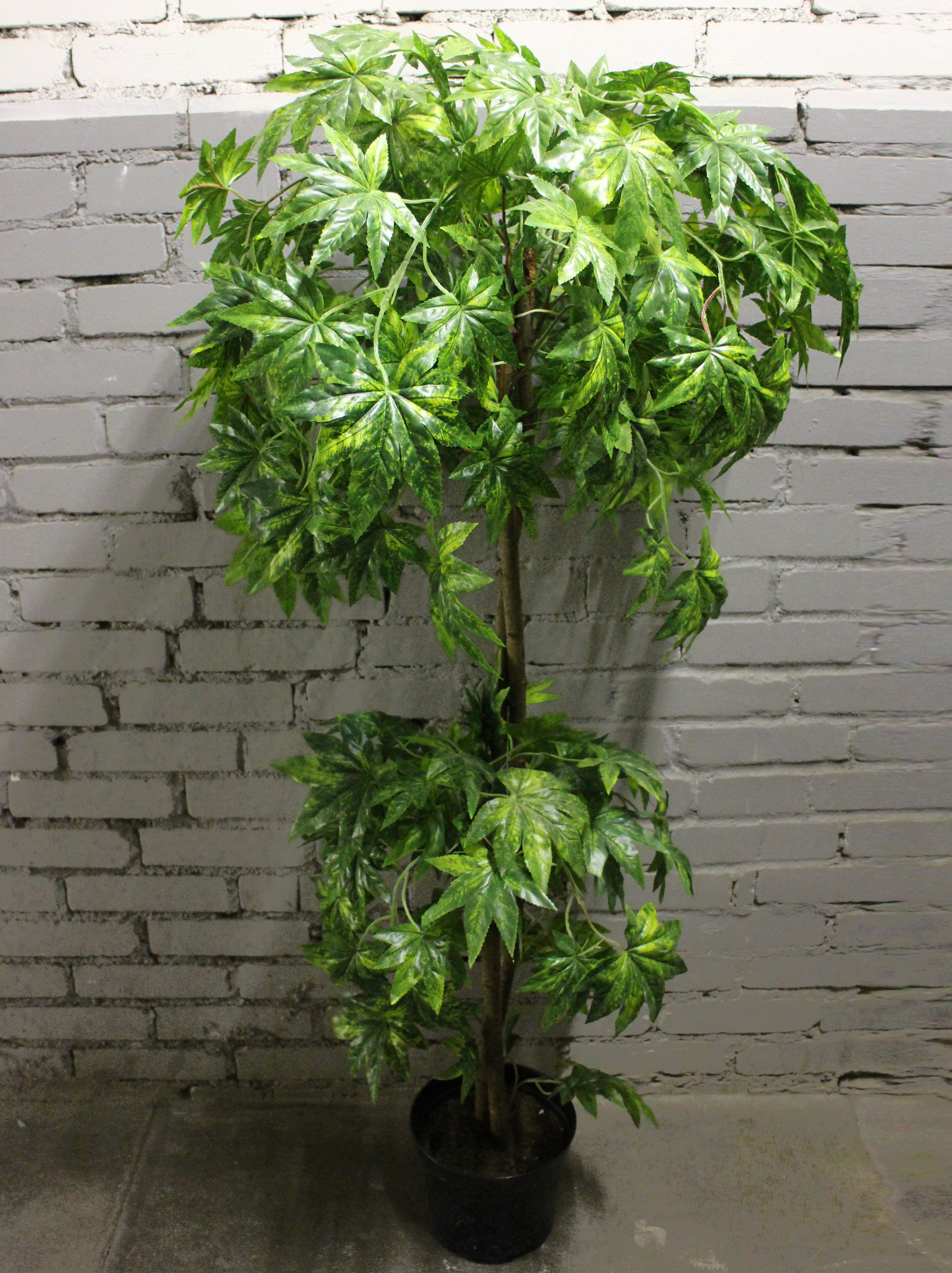 ���� �������. ���������� ��������� ����������� � ��������� ����������! ����� �� ������� ������������� �������, ����� � �������, ����������, ��������� �����, ������, ����������� �������, ������������� �����, ���������, ��������� ����� � ������. ����� 6.