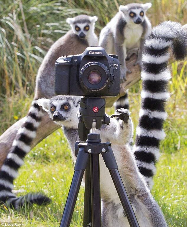 � ���� ���� ��� �������? �����!