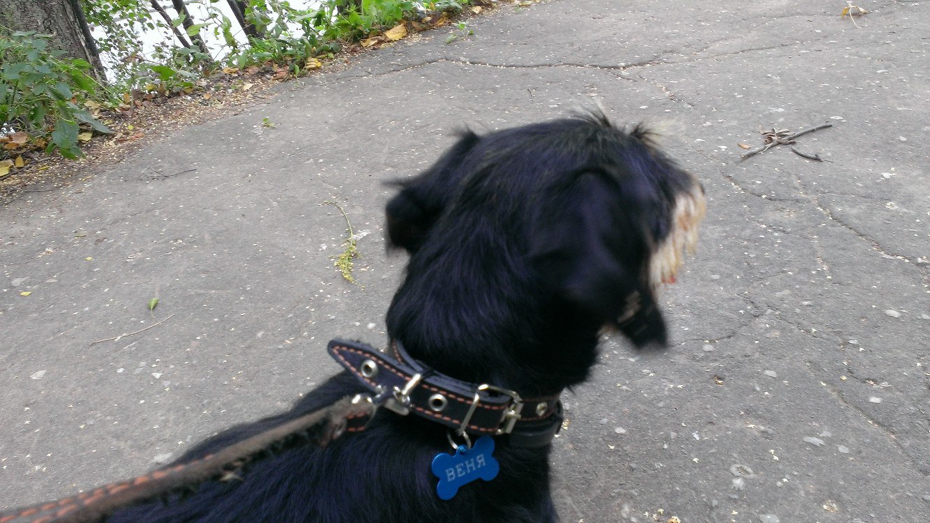 ���� ����������� ����?