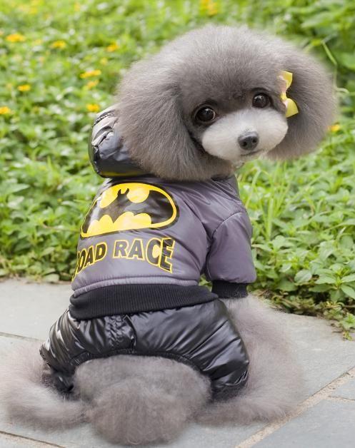 ���� �������. ������ ��� �����