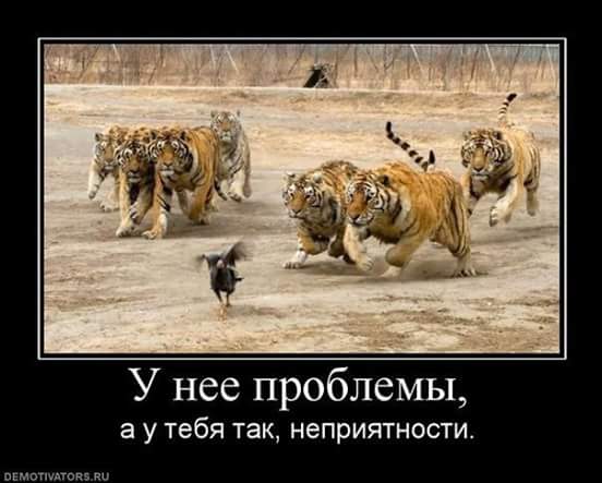 �������� �� �� ����� �� ������� ��������������