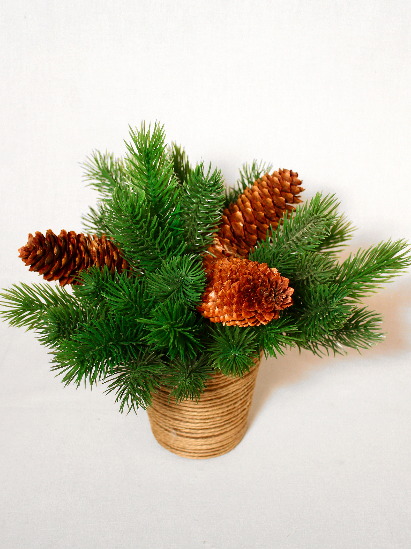 ���� �������. ���������� ������, ����� �� �����, �����, ��������, ��������� �������� � ������������, �������, �������� � ����� ����� �����������.