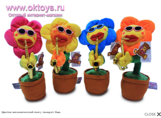 ������ ������������ ����, �������