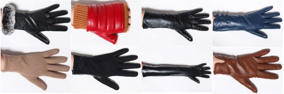 ���� �������. ������� ��������. ����������, �������, �����������. �������, ��������, ���������������, �����������. ������������ ������ � ���� ������.