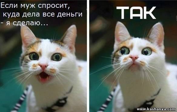 ��� ����� :)