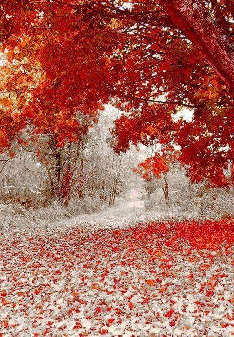 ������� �������....