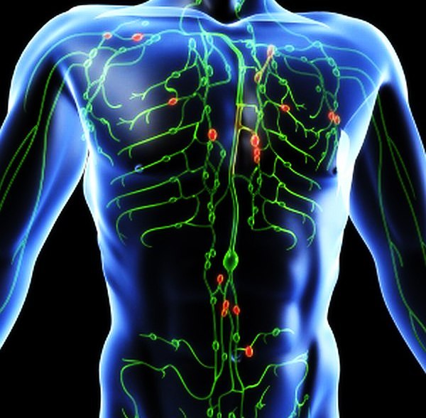 ����� ����� ���� ������ ���������